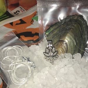 Lotus flower cage with chain and oyster